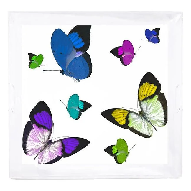 Butterflies Acid Blue 18X18 Acrylic Tray